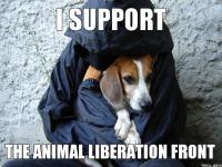 i support the animal liberation front!