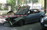 Die Kriminalpolizei sucht mit einem Hund Spuren am ausgebrannten Fahrzeug