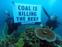 Coal is killing the reef