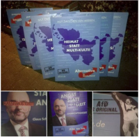 Adbusting AfD-Wahlplakate