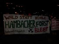 Hambacher Forst bleibt!