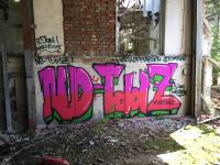 Graffiti Villingen-Schenningen (1) #noTddZ
