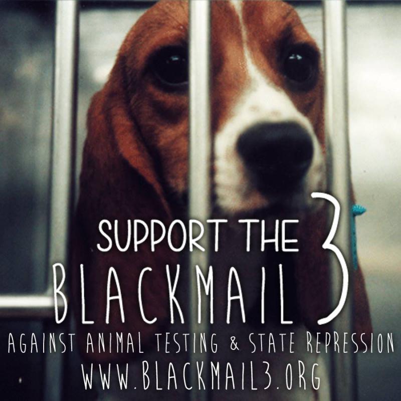 support the blackmail 3