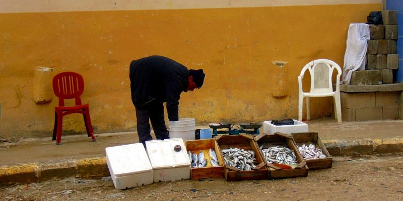 Ein Fischer verkauft seinen Fang am Strassenrand in Nahr al-Bared