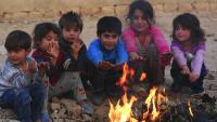 Aufruf zum Neuaufbau von Kobanê