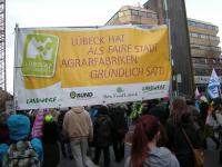 "Wir haben es satt" - Demo in Berlin 2015 45