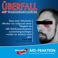 AfD-Propaganda