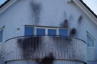 Farbe am Haus von Rolf Conradi (AFD Reinickendorf)
