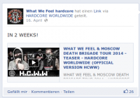 #6 – Facebook-Werbung für den Video-Teaser der Europa-Tournee von WWF und MDB 2014, der mit dem Song „Till The End“ unterlegt ist