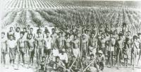 Australian Slavery