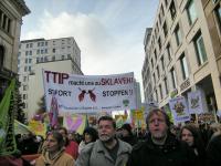 "Wir haben es satt" - Demo in Berlin 2015 9