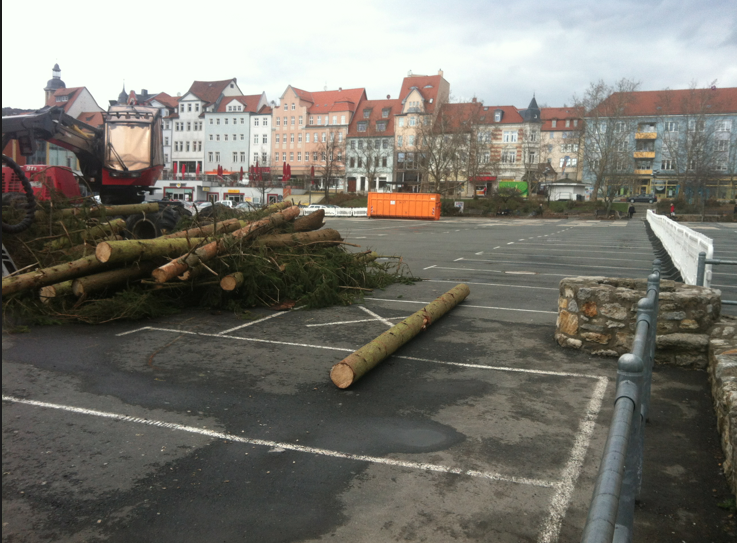 Baumfällarbeiten 12. April 2013, Eichplatz Jena