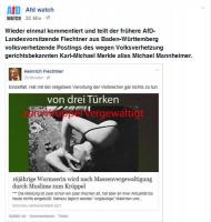 AFD Fiechtner Volksverhetzung