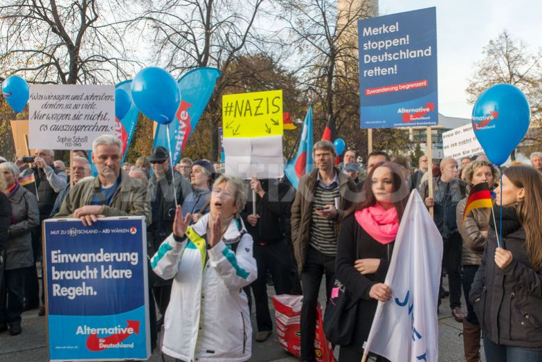 AfD, 31.10.2015, Berlin