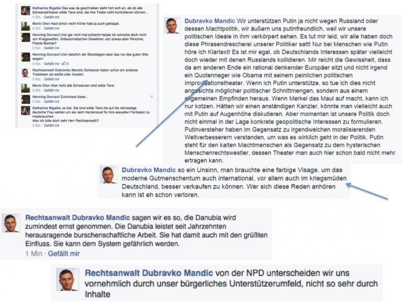 Dubravko Mandic (AfD)