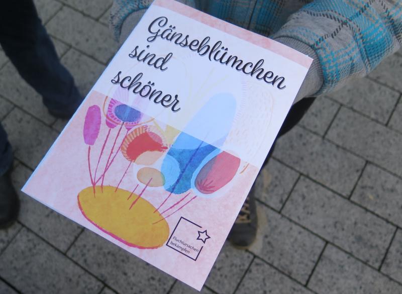 Gänseblümchen sind schöner 1