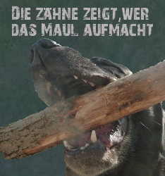 Die Zähne zeigt, wer das Maul aufmacht Banner 234x250