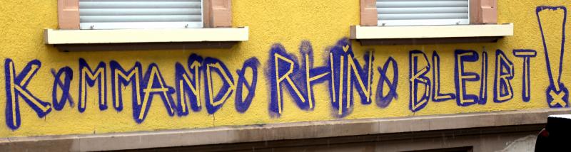 Freiburg Grafitti Rhino bleibt (jpg)