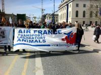 Air France Demo in Berlin 1