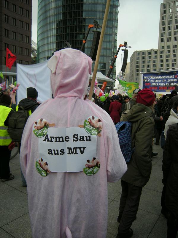 "Wir haben es satt" - Demo in Berlin 2015 8