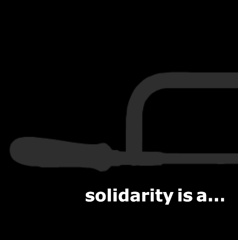 solidarity is a...