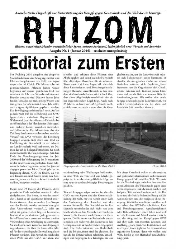 Rhizom Nr. 1