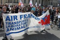 Air France Demo in Berlin 2