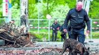 Sprengstoffspürhund Hugo sucht in den Trümmern des Dannenberger Einkaufszentrums nach Resten von Brandbeschleunigern – der Schaden geht in die Millionen.
