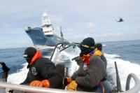 Sea Shepherd strikes the Yishiin Maru No2