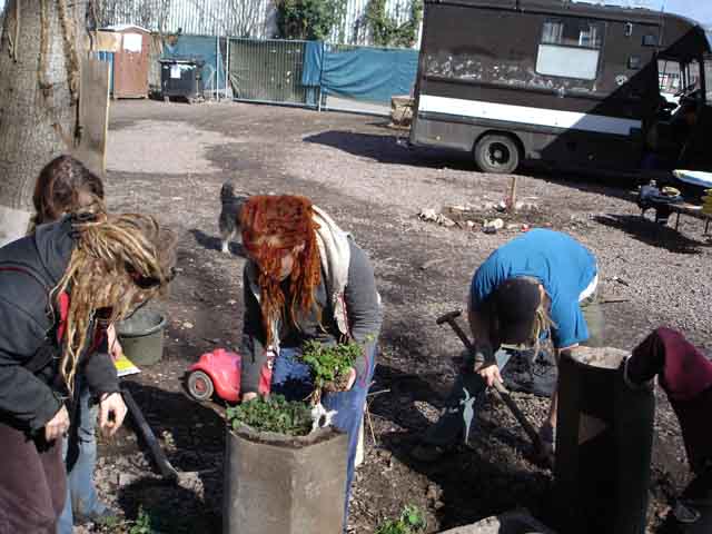 Juli 2007: Beton und Grün auf Ponyhof