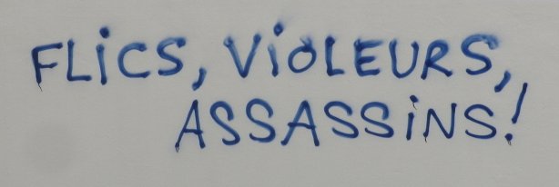 Flics, Violeurs, Assassins