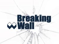 Breaking Wall - AfD und ihren Unterstützer_innen den Kampf ansagen