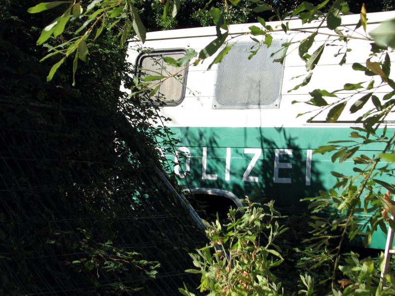 Bullen in der ZAD