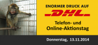 DHL und Tierversuche stoppen: 13.11.2014