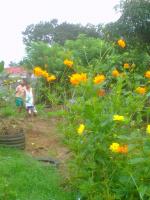 bread homes sharing garden 3