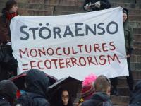 Stora Enso's monocultures are ecoterrorism!