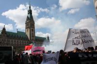 Blockupy in Hamburg – 5