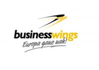 next please:-) business wings