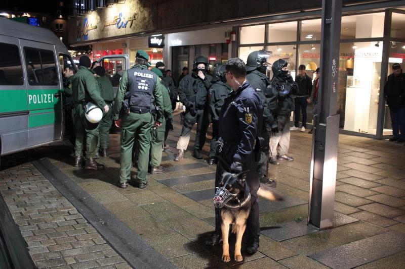 Polizeihunde