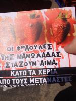 Plakat, Aufruf zum Boykott der Manolada Erdbeeren