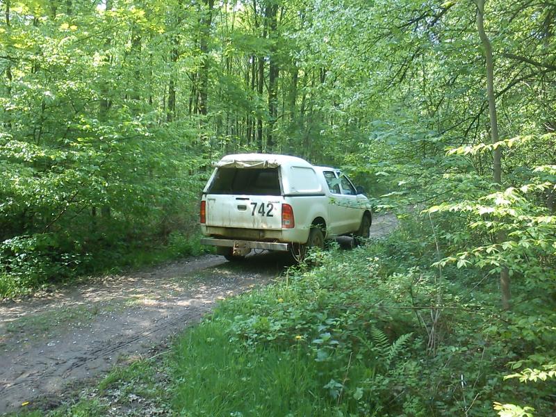 Barrikaden im Hambacher Forst zerstört - 3