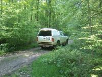 Barrikaden im Hambacher Forst zerstört - 3