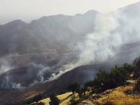 Waldbrand in der Türkei (05)