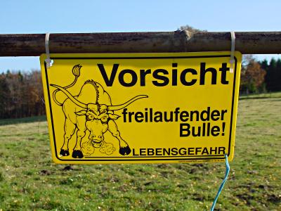 Vorsicht! Freilaufender Bulle