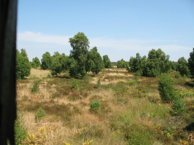 Aussicht Heide 3