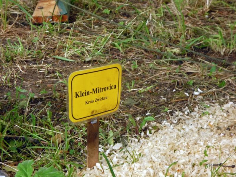 Am Tag der offenen Tür Ende Mai hatten die Gebirgsjäger in Bad Reichenhall Kinder auf ein Miniatur-Dorf zielen lassen