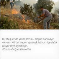 Waldbrand in der Türkei (04)