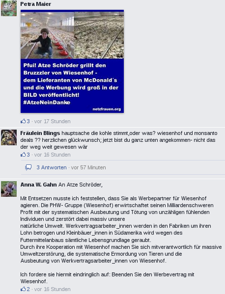 Facebook-Kommentare(Quelle: https://www.facebook.com/atzesrevolution)