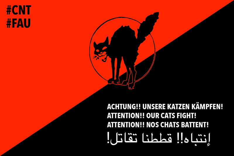 Alles für die Katz