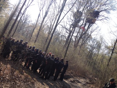 Hambacher Forst, Foto: Carsten RustKölner Express vom 27.03.2014